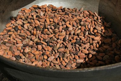Natural fermented cacao beans showing the authentic ingredients that create chocolate's complex flavors